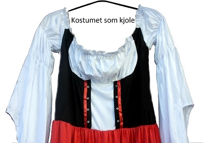 Barpige oktoberfest kostume